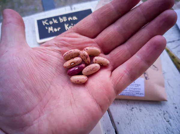 Kokböna Mor Kristin